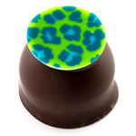 Lemon fruit ganache in a pure couverture dark chocolate shell