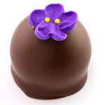Limoncello liqueur liquid shot in a pure couverture dark chocolate shell