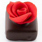 Cherry and rich dark chocolate ganache topped with a rose sugar